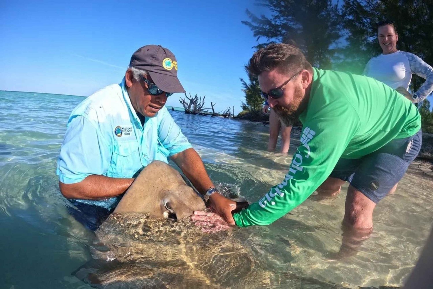 Wyspa Grand Bahama: Najlepsze doświadczenie ekologiczne