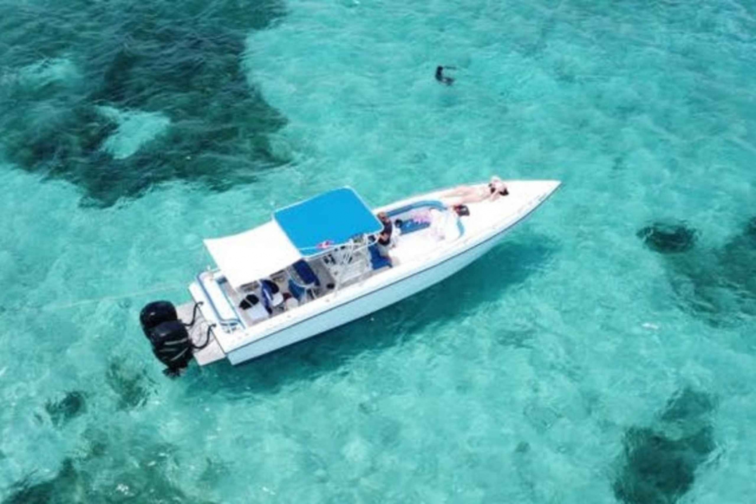 Nassau: Half-Day Guided Cay Cruise, Sea Life Watch & Snorkel