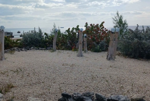 Guided Primeval Nature Walk Tour