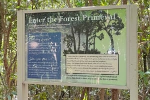 Guided Primeval Nature Walk Tour
