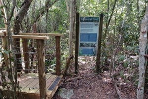 Guided Primeval Nature Walk Tour