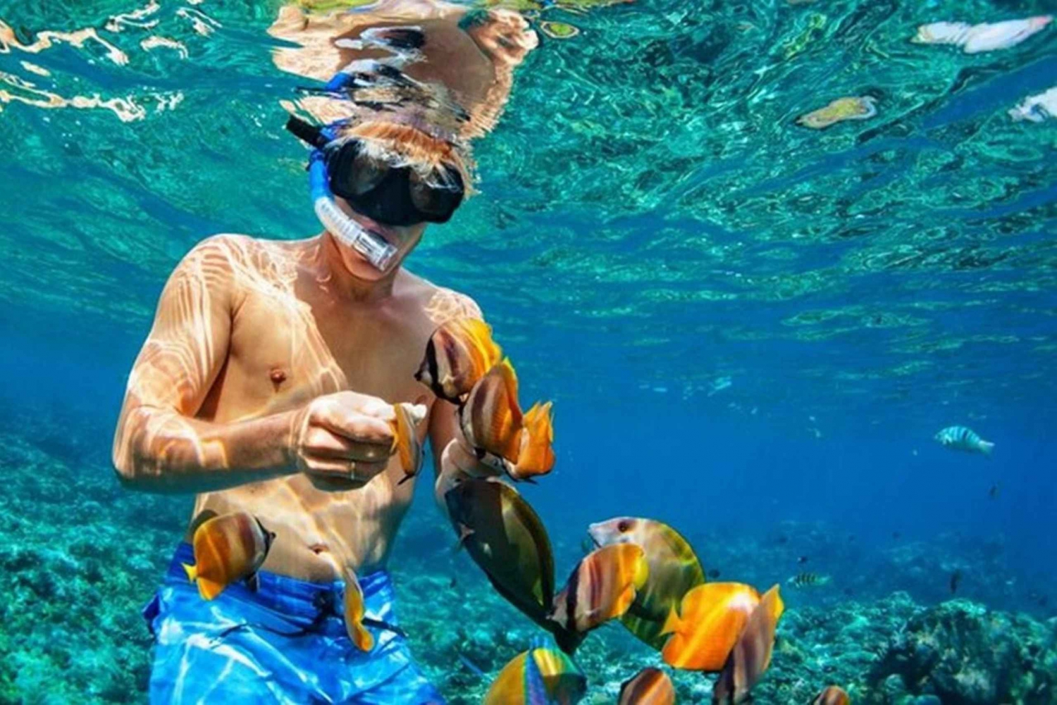 Escapada de meio dia em Nassau: Mergulho com snorkel e tartaruga na Ilha Rose