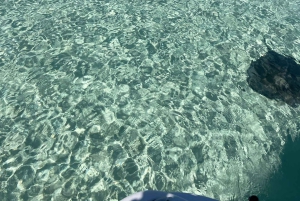 Excursion d'une journée à Honeymoon Harbour et Sapona