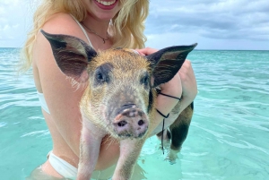 Jet Ski Swimming Pigs Tour