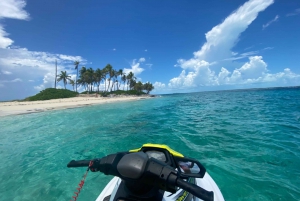 Jet Ski Swimming Pigs Tour