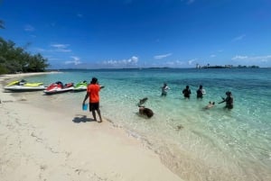 Jet Ski Swimming Pigs Tour
