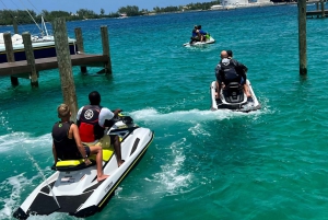 Jet Ski Swimming Pigs Tour