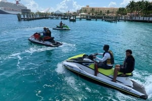 Jet Ski Swimming Pigs Tour