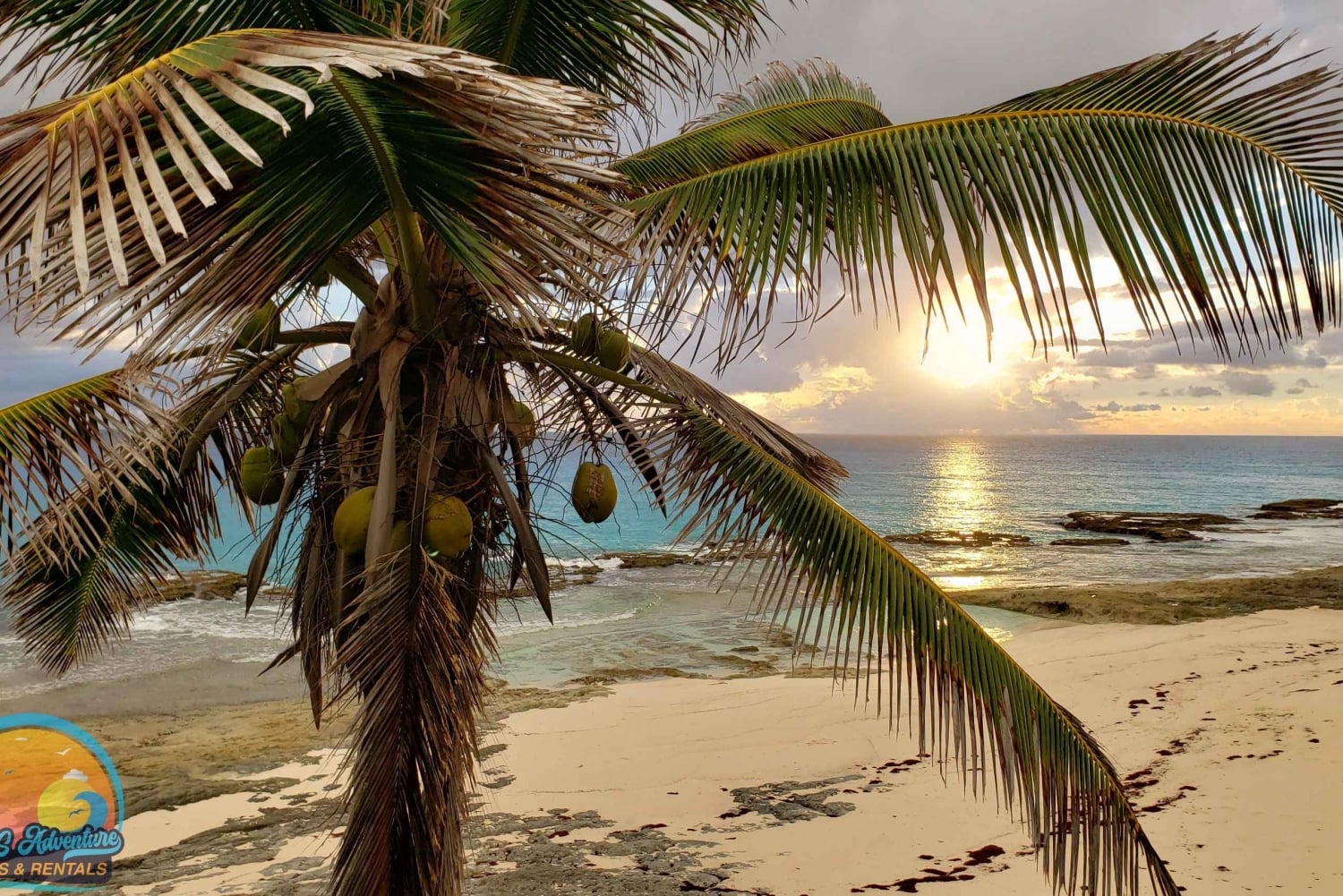 Long Island Bahamas: Guidet tur i en hel dag