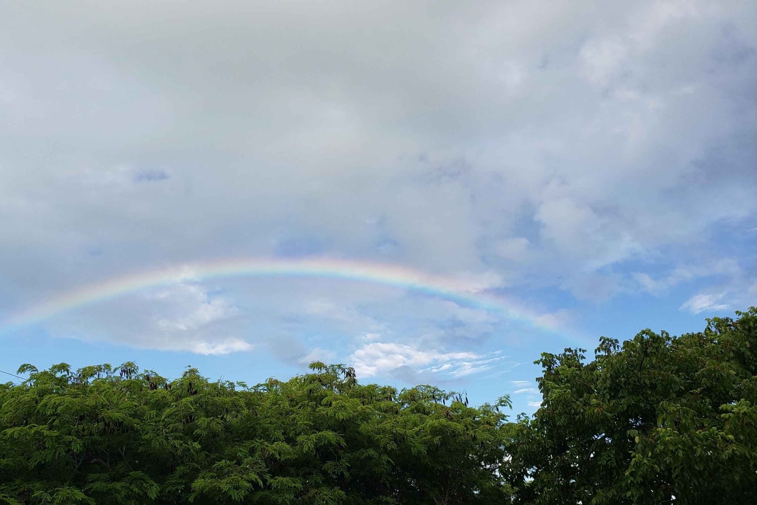 Long Island Bahamas: Guidet tur i en hel dag