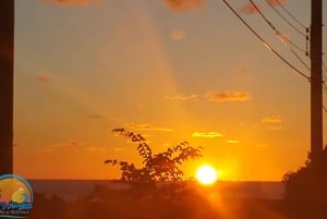 バハマのロングアイランド：終日ガイド付きツアー