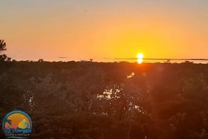 バハマのロングアイランド：終日ガイド付きツアー