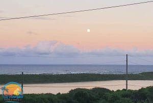 バハマのロングアイランド：終日ガイド付きツアー