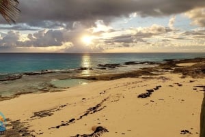 Long Island Bahamas: Guidet tur i en hel dag