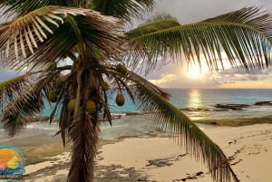 Long Island Bahamas: Guidet tur i en hel dag