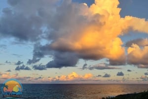 Long Island Bahamas: Guidet tur i en hel dag