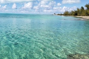 Long Island Bahamas: Guidet tur i en hel dag
