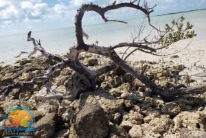 Long Island Bahamas: Guidet tur i en hel dag