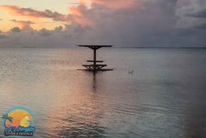 Long Island Bahamas: Guidet tur i en hel dag