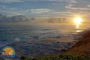 Long Island Bahamas: Guidet tur i en hel dag