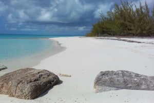 Long Island Bahamas: Guidet tur i en hel dag