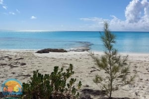 Long Island Bahamas: Guidet tur i en hel dag