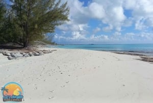Long Island Bahamas: Guidet tur i en hel dag