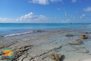 Long Island Bahamas: Guidet tur i en hel dag