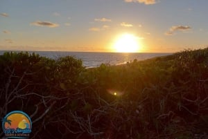 Long Island Bahamas: Guidet tur i en hel dag