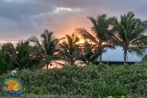 Long Island Bahamas: Guidet tur i en hel dag