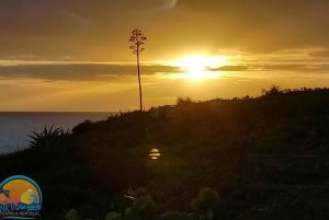 Long Island Bahamas: Guidet tur i en hel dag