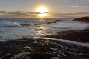 Long Island Bahamas: Guidet tur i en hel dag