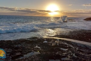 Long Island Bahamas: Guidet tur i en hel dag