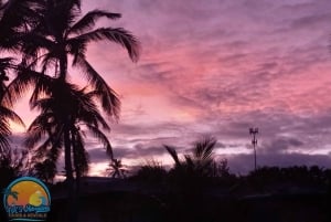 Long Island Bahamas: Guidet tur i en hel dag