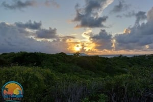 Long Island Bahamas: Guidet tur i en hel dag