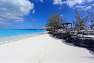 Long Island Bahamas: Guidet tur i en hel dag