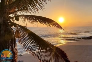 Long Island Bahamas: Guidet tur i en hel dag