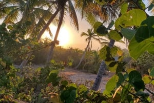 Long Island Bahamas: Guidet tur i en hel dag