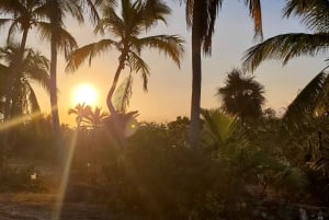 Long Island Bahamas: Guidet tur i en hel dag