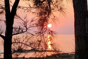 Long Island Bahamas: Guidet tur i en hel dag