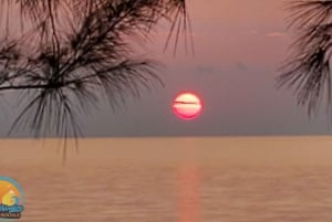 Long Island Bahamas: Guidet tur i en hel dag