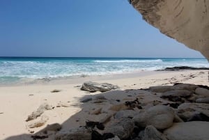 Long Island Bahamas: Guidet tur i en hel dag