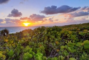 Long Island Bahamas: Guidet tur i en hel dag
