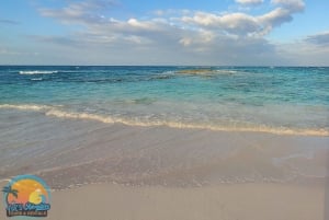 Long Island Bahamas: Guidet tur i en hel dag