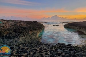 Long Island Bahamas: Guidet tur i en hel dag