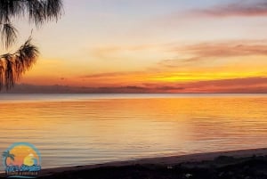 Long Island Bahamas: Guidet tur i en hel dag