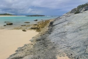 Long Island Bahamas: Guidet tur i en hel dag