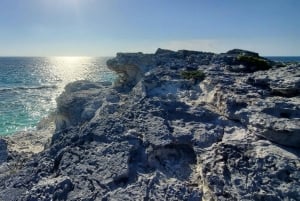 Long Island Bahamas: Guidet tur i en hel dag