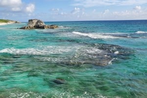 Long Island Bahamas: Guidet tur i en hel dag