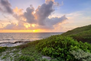 Long Island Bahamas: Guidet tur i en hel dag